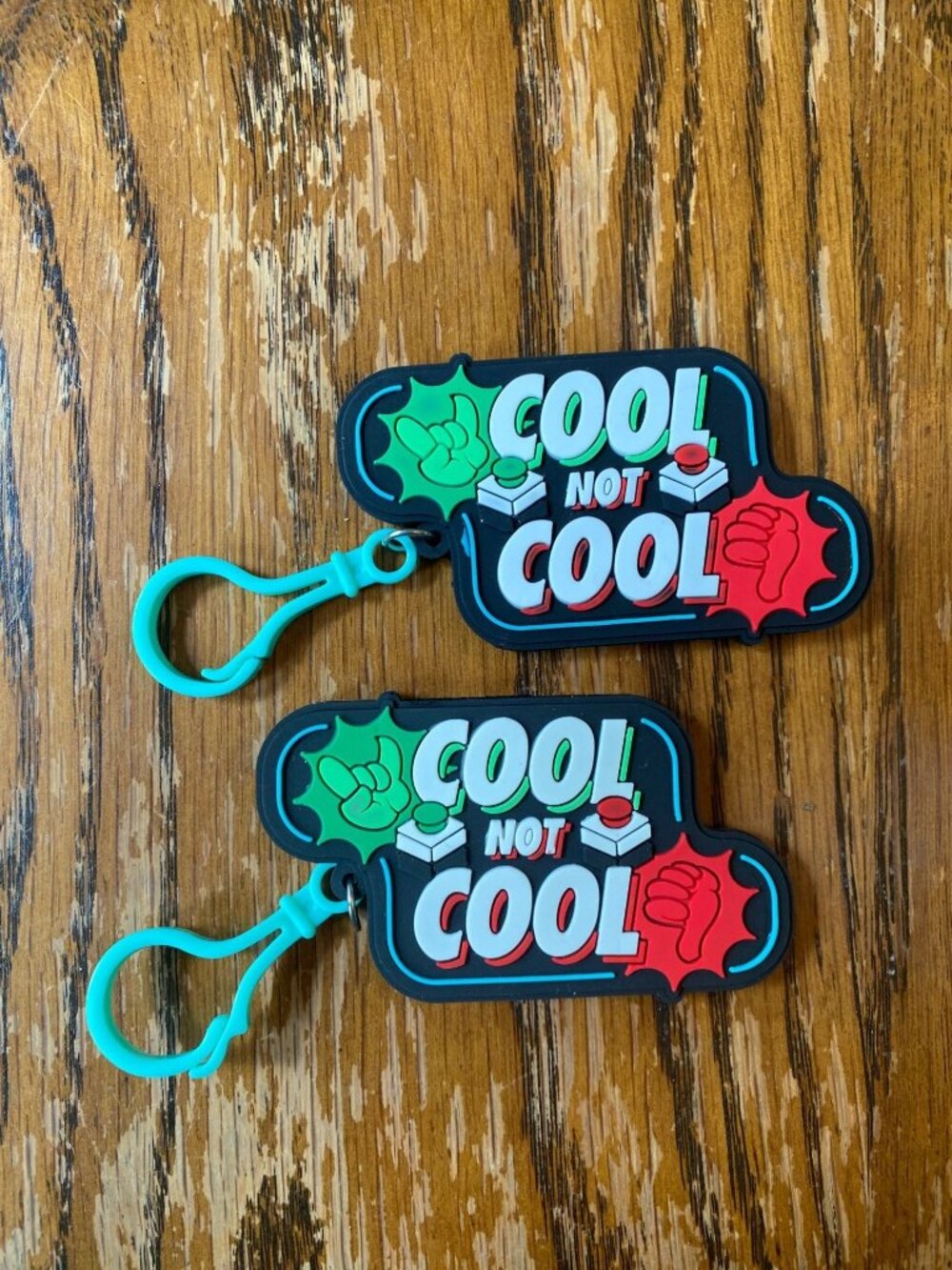 Dude Perfect Cool Not Cool KeyChains